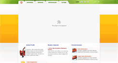 Desktop Screenshot of manavoglumakina.com